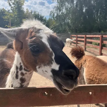 Дом отдыха Rzeczny Zakatek Nad Wkra