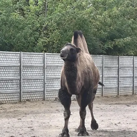 Rzeczny Zakatek Nad Wkra Σπίτι διακοπών Kosewko (Nowy Dwor)