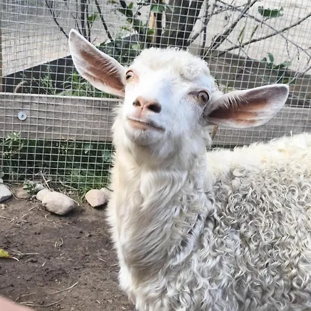 Rzeczny Zakatek Nad Wkra Дом отдыха *