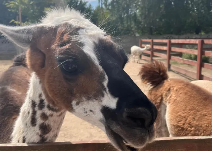 Сasa de vacaciones Rzeczny Zakatek Nad Wkra