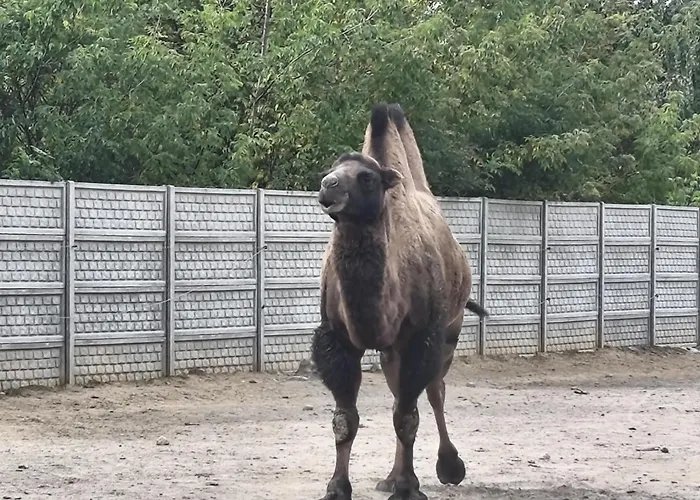 Rzeczny Zakatek Nad Wkra Сasa de vacaciones Kosewko (Nowy Dwor)